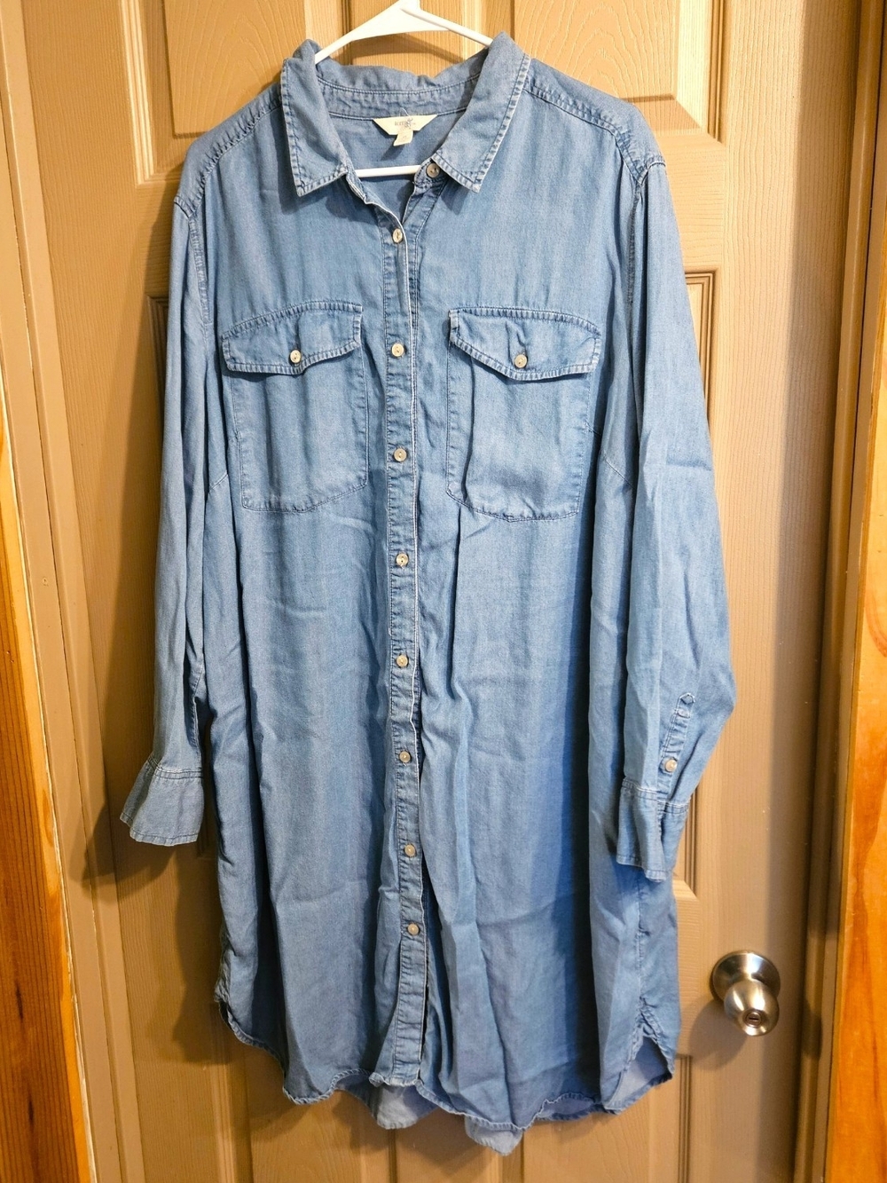 Terra & Sky Light Blue Denim Button-Down Shirt